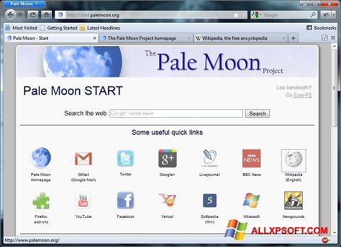 Skjermbilde Pale Moon Windows XP