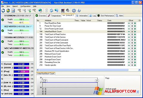 Skjermbilde Hard Disk Sentinel Windows XP