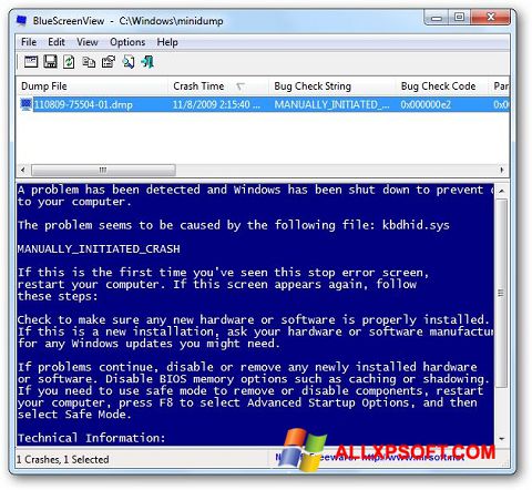 Skjermbilde BlueScreenView Windows XP