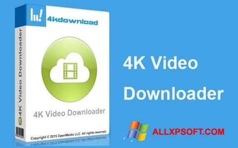 Skjermbilde 4K Video Downloader Windows XP