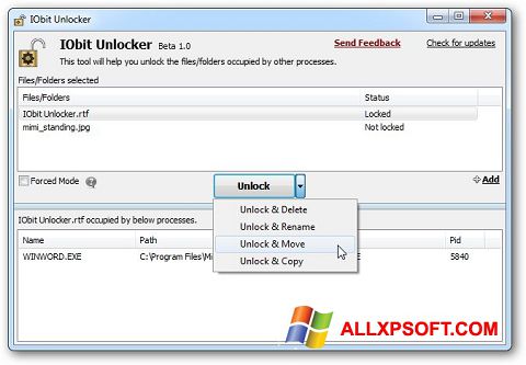 Skjermbilde IObit Unlocker Windows XP